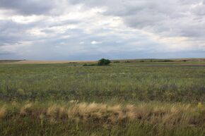 Steppe landscape in Sharlyksky District, Orenburg Oblast.jpg