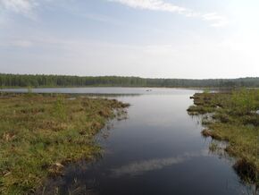 Daryino Lake (near Novki).JPG