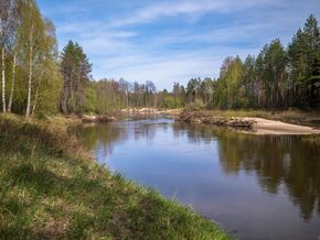 Малая Кокшага 1090268.jpg