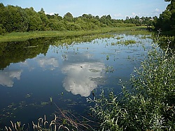 Нурма (Марий Эл).jpg