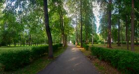 Государев сад, Петрозаводск.jpg