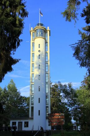 Suur Munamägi tower - panoramio.jpg
