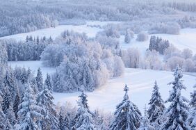 Haanja 2010 01 1.jpg