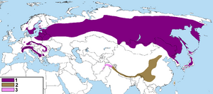 Map of distribution of Nucifraga caryocatactes.png