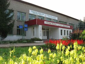 Амзя.jpg
