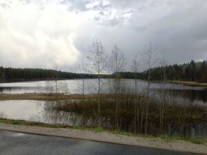 Torasjärvi