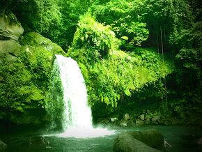 Taytay falls Majayjay.jpg