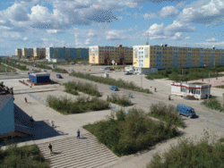 Eländfartaliden toine nägu