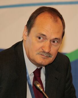 Илья Ломакин-Румянцев.jpg