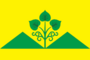 Flag of Bakhsytsky (Yakutia).png
