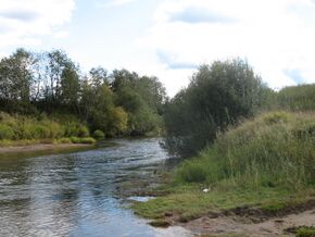 Neya River near Parfenevo village.jpg