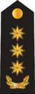 15.AzNF-CP1.png