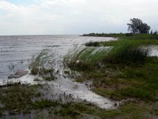 LakePeipus02.JPG