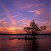 Rivertree 1 md.jpg