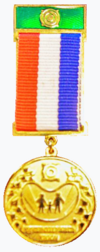 Медаль «Родительская доблесть Хакасии».png