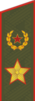 Арми генералĕн погонĕ