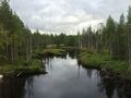 Nägöala vastuvirdua myöte