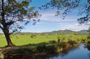 River bank, Vintar.jpg