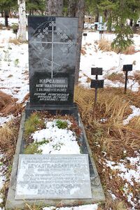 Минеральнӧй особлаглӧн шойна