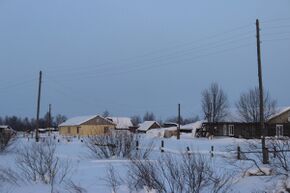 Песчанка Коми1.jpg